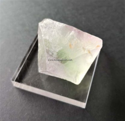 Fluorita-octaedro