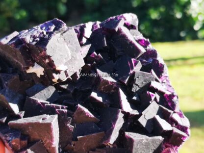 Fluorite-purple-china-outside-m000041-d