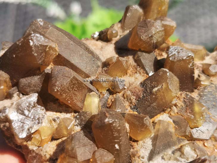 YELLOW BARITE PRISMS MINERALITUM exclusive minerals. Online mineral