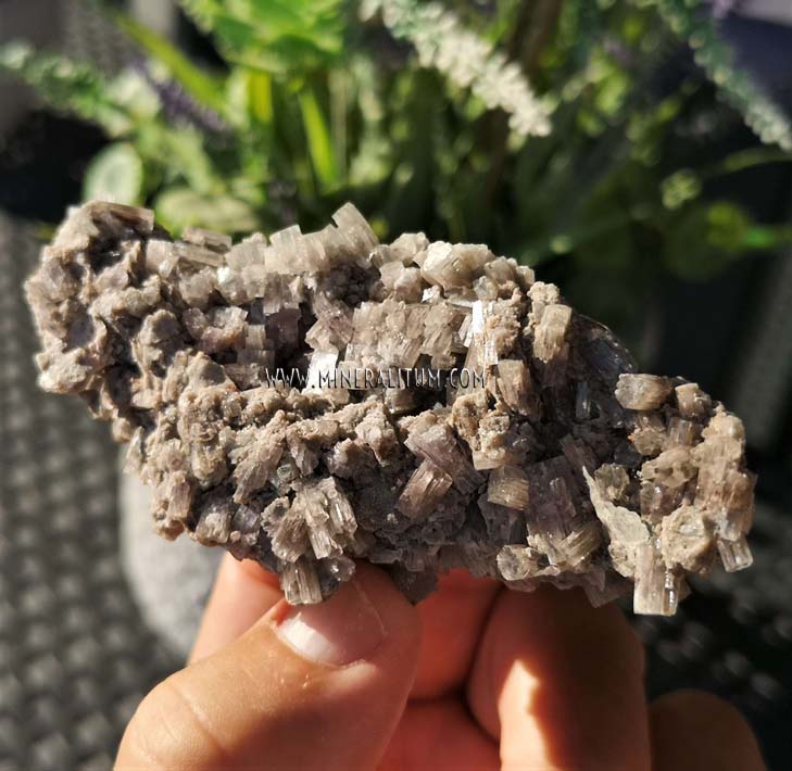 ARAGONITO PIÑA – MINERALITUM | exclusive minerals Tienda minerales online