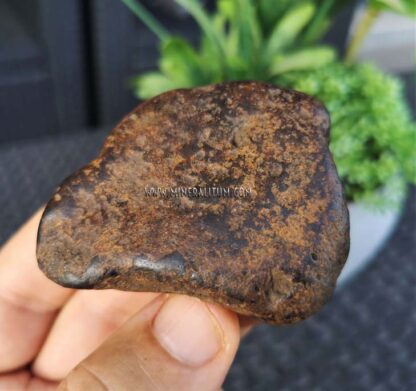 meteorito-metalico-m000141-d