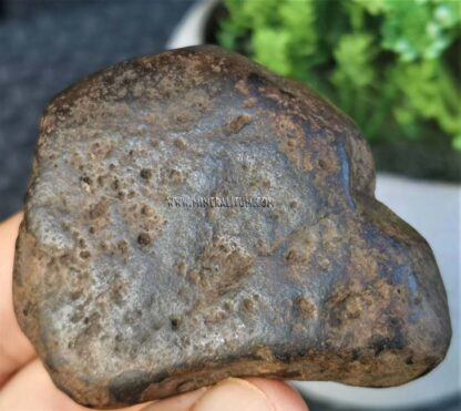 meteorito-metalico-m000141-e