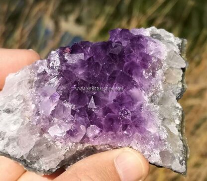 amatista-violeta-brasil-m0000151-c