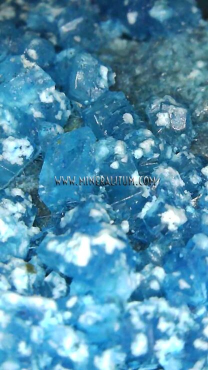Chalcanthite-blue-crystals-china-m0000165-g