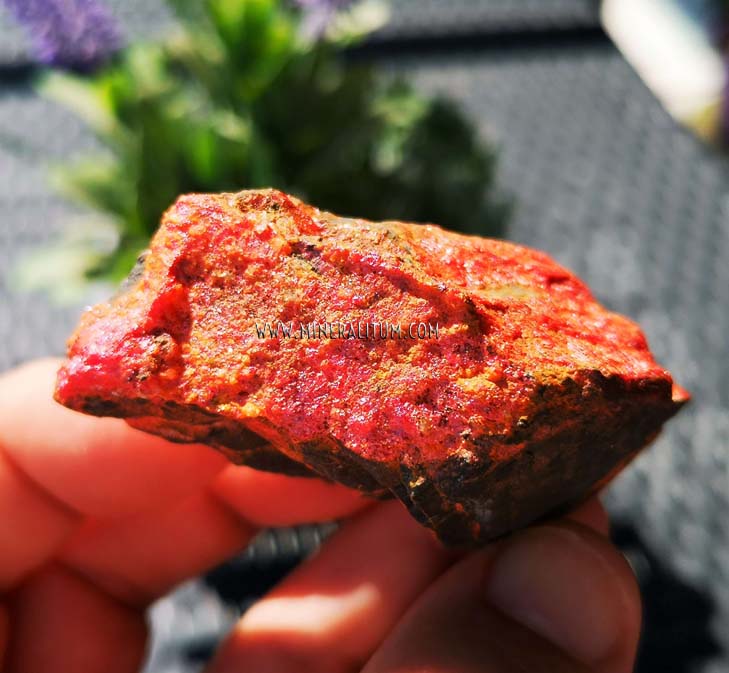 rejalgar-rojo-mineralitum