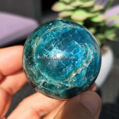 apatite-sphere-blue-m0000176-b