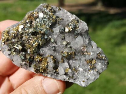 pyrite-quartz-calcite-m0000185-a