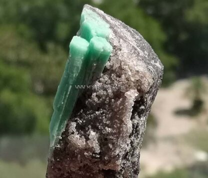 esmeralda-berilo-verde-m0000204-d