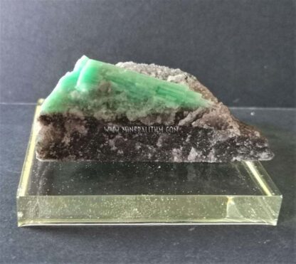 emerald-beryl-green-m0000204-e