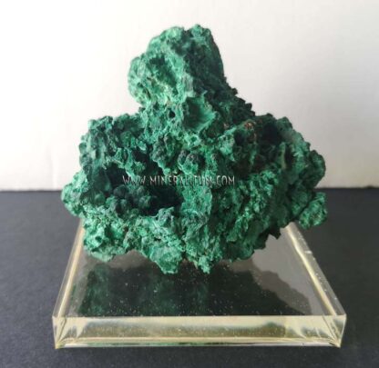 malachite-green-m0000207-f