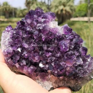 amethyst-purple-brazil-m0000214-a