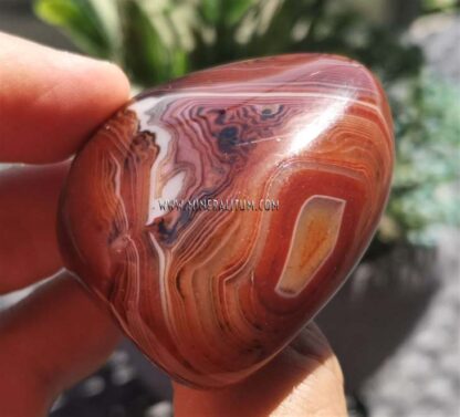 agate-polished-red-m0000242-c