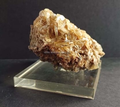 tabular-barite-m0000276-e